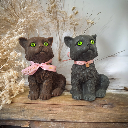 Katten kaarsen op rustiek hout met droogbloemen